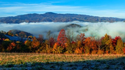 Mglisty i mroźny poranek