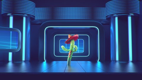 Kaktus na scenie w studio, przy produkcji Tymbarka